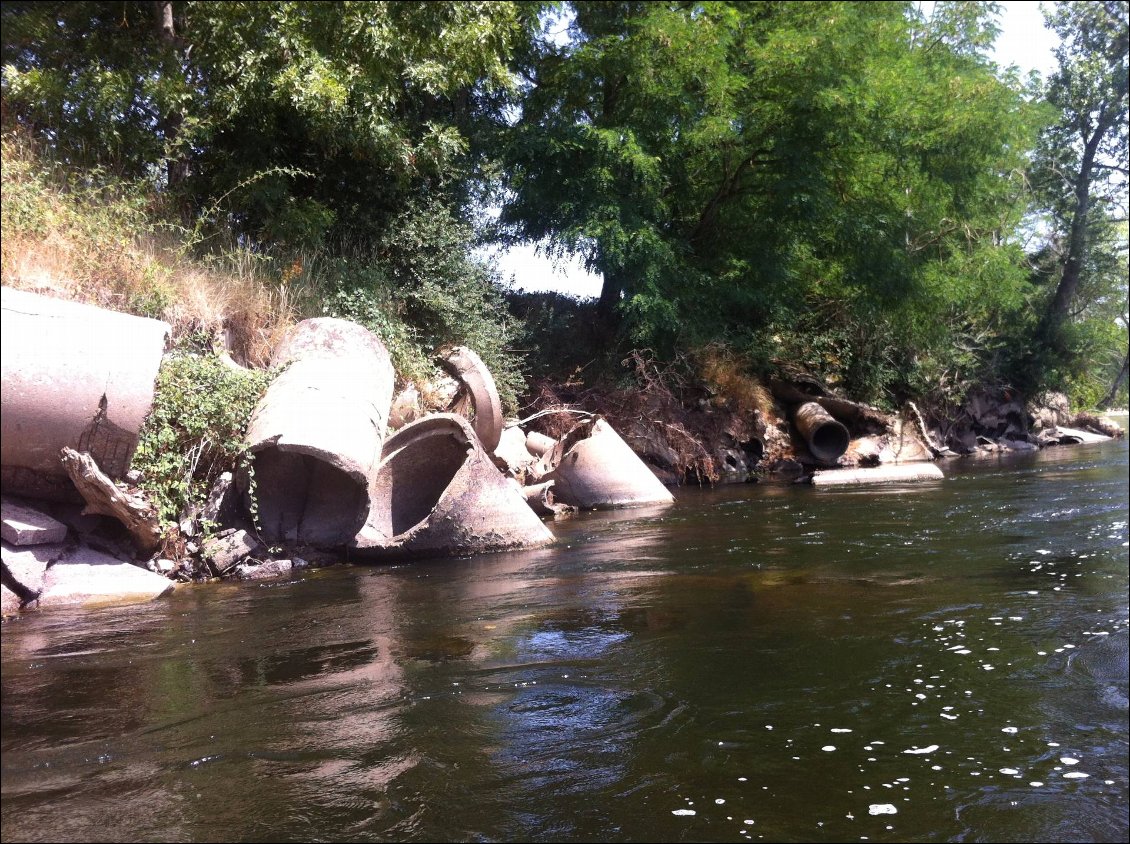 protection des berges