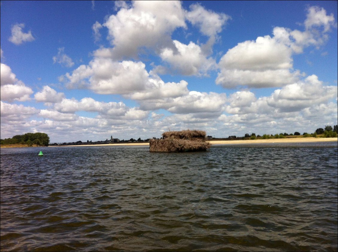 Bateau camouflage chasse aux cannards