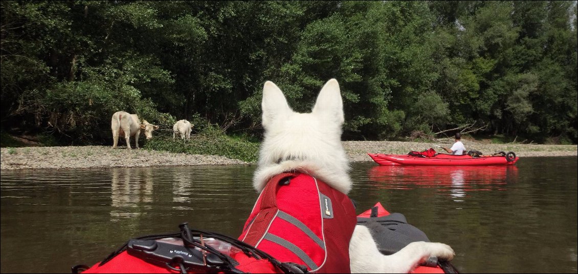 Sur les bords de l'Allier, nous ne croisons absolument personne. Nous apprécions cette impression d'être coupés du monde. 