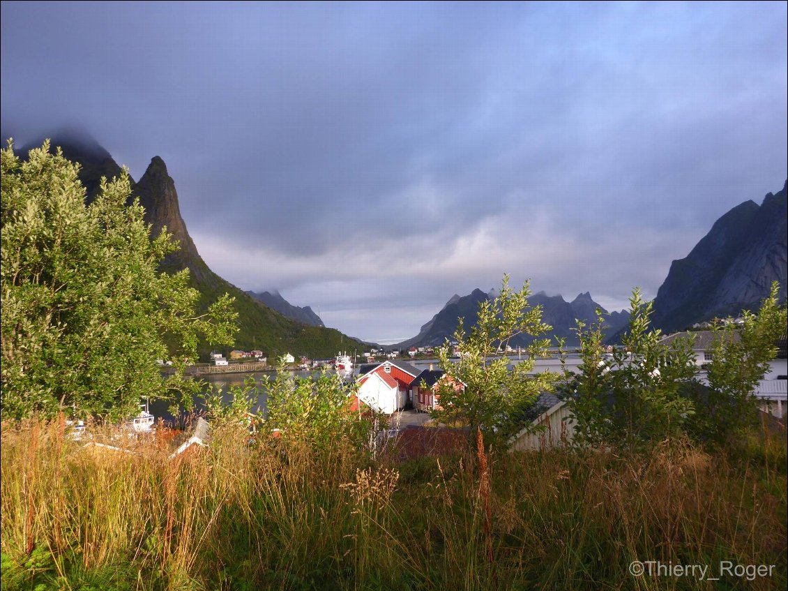 Reine au petit matin