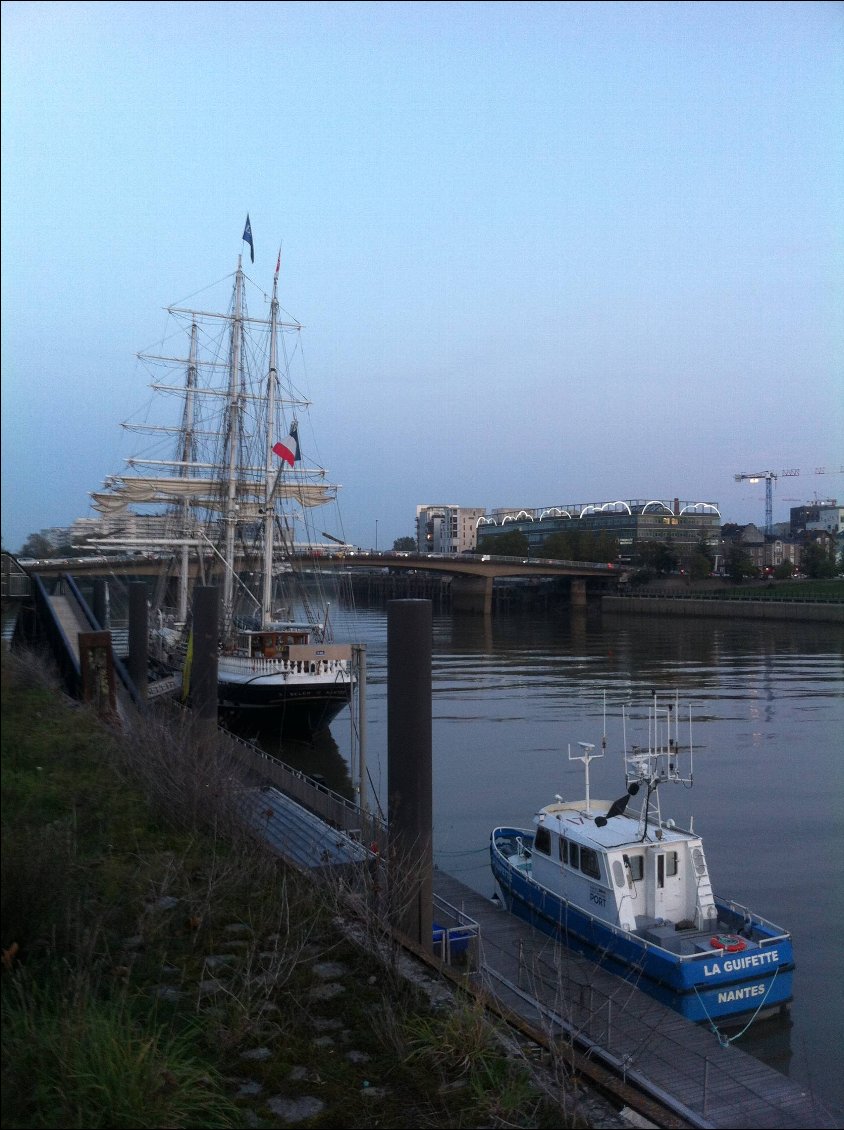 Oui, une jolie guifette en face du Belem! Qui lui est à quai pour quelques jours