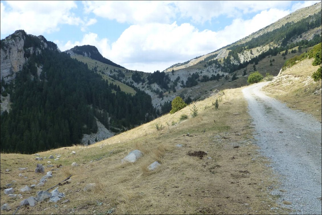 Aujourd'hui c'est de la piste, mais après une journée de repos ça passe bien.