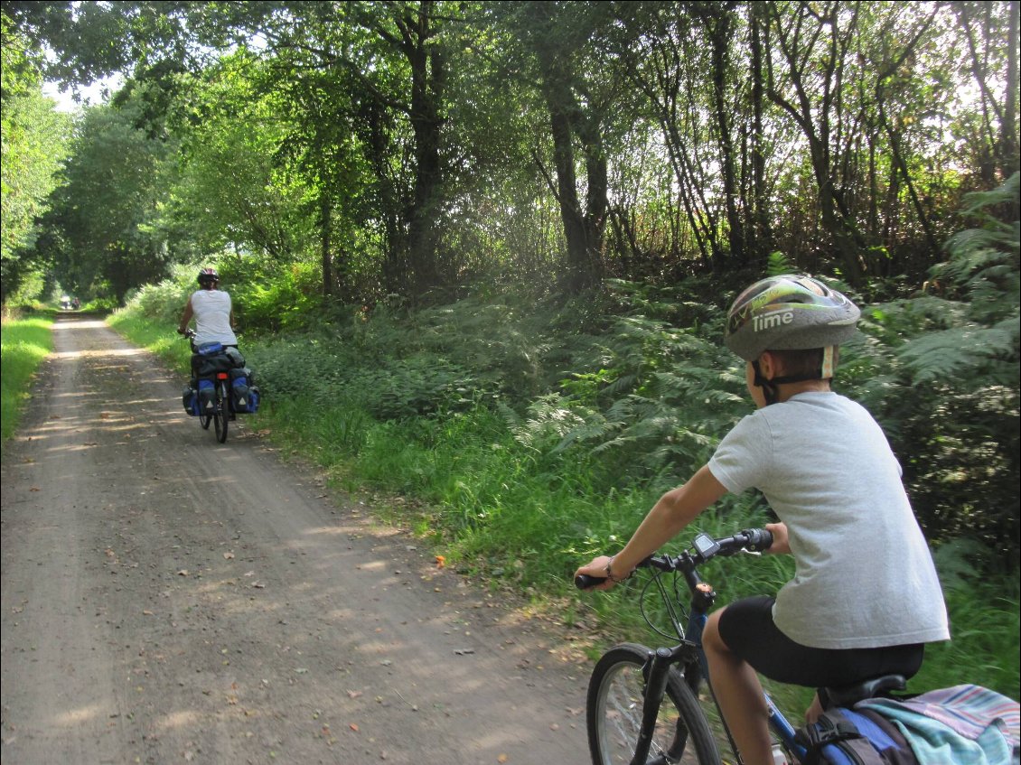 A travers le bocage...