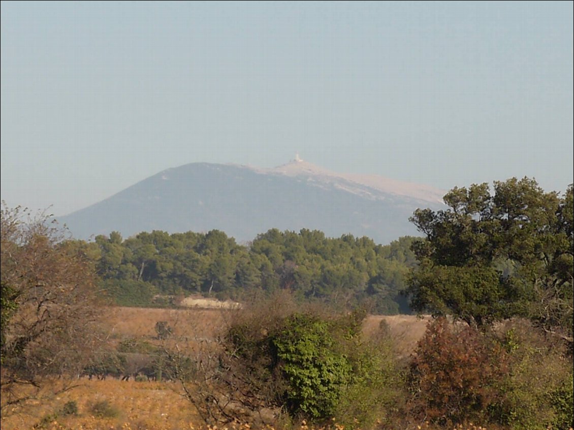 le mont pelé (on ne se vante pas de l'avoir grimpé celui là !)