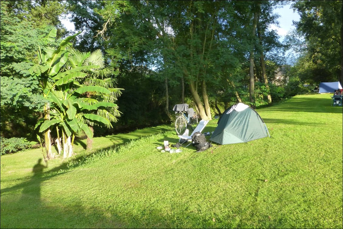 Bananier et palmier... Ce n'est pas un camping à la Réunion mais bien à Arette