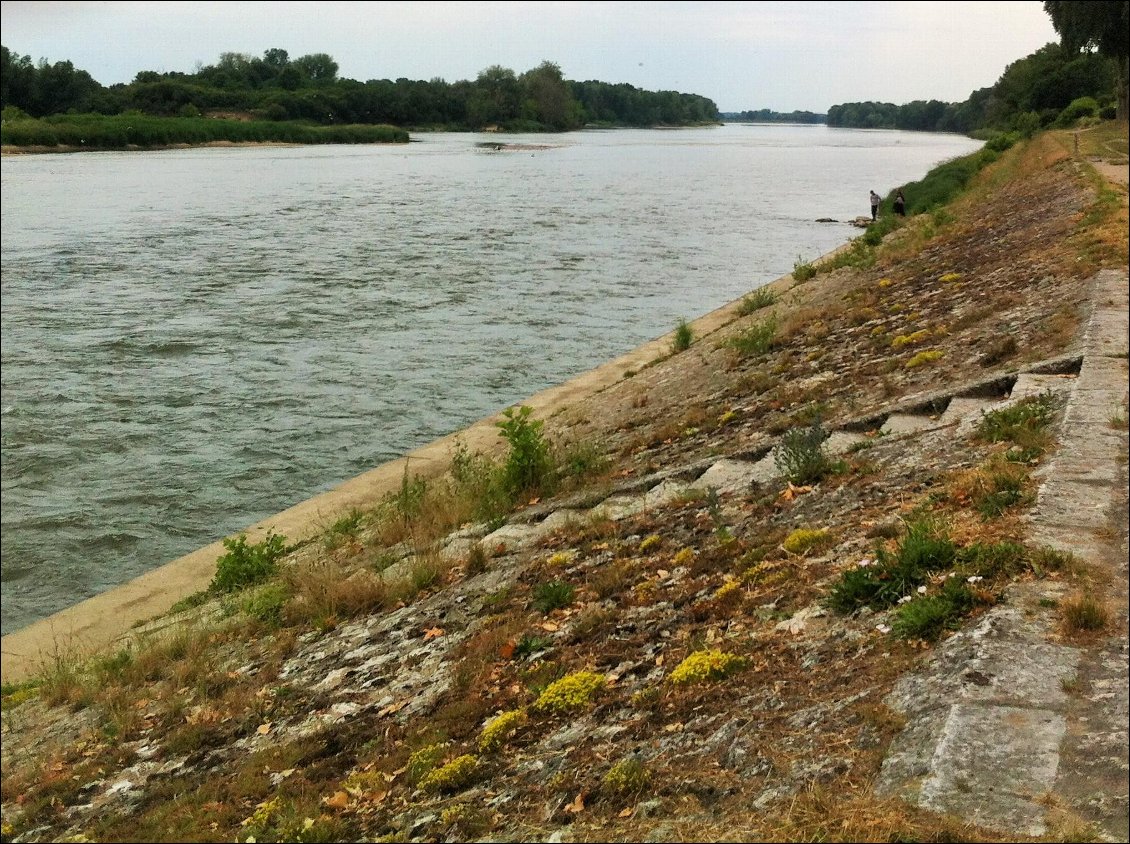 Donc avec Canoë, on a pris l'escalier... :-(
Avec un randonneur qui m'a donné un grand coup de main et comme il allait au même endroit que moi,