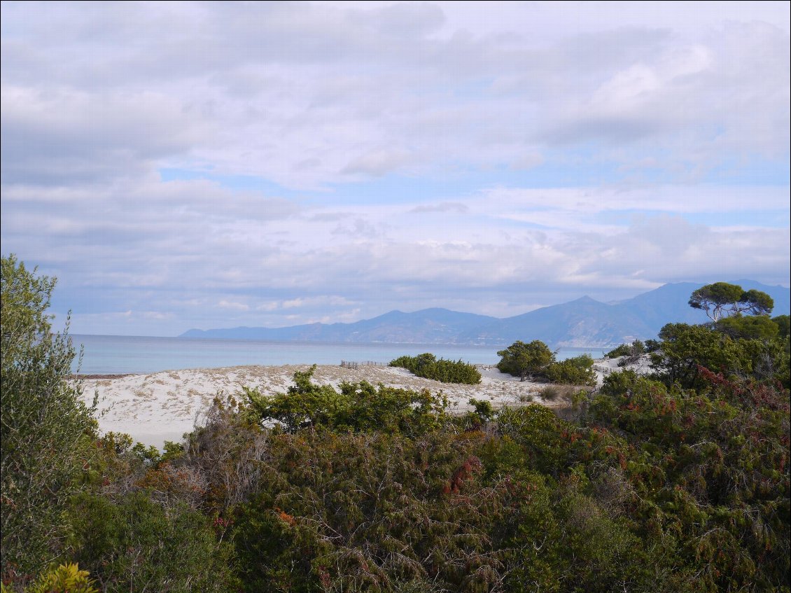 plage de Saleccia