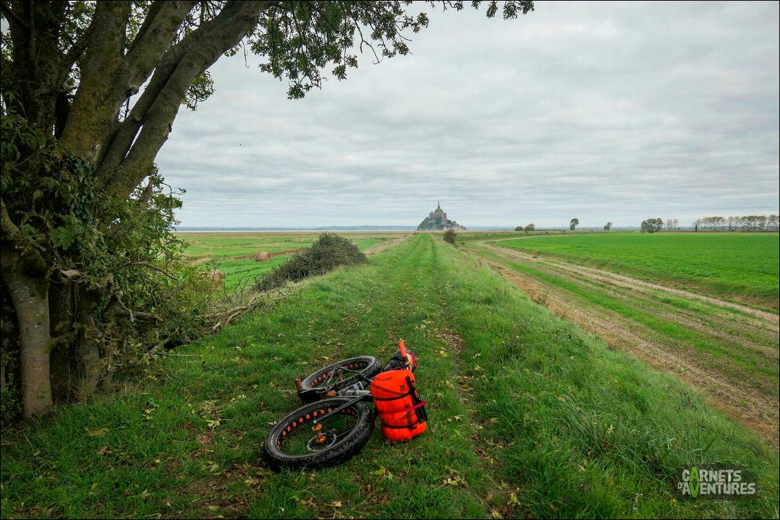 Sentier rectiligne, le mont St Michel dans le rétro.