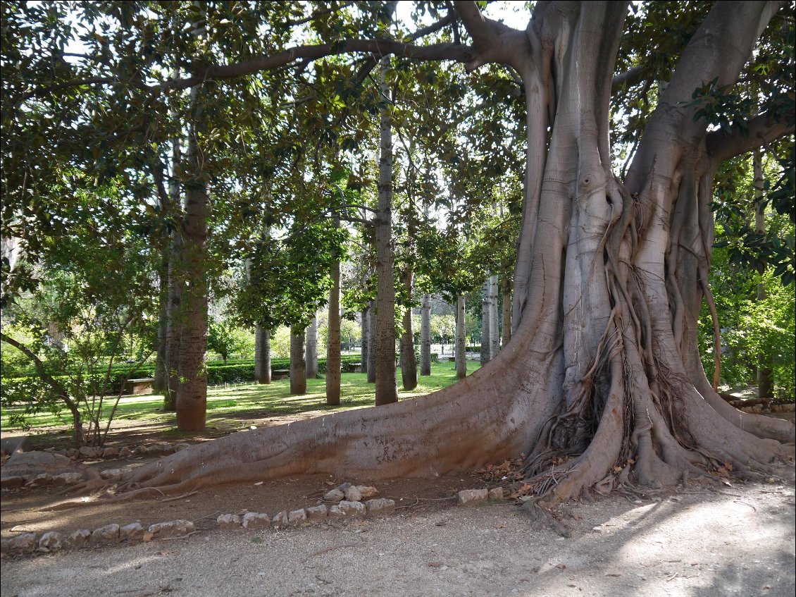 Parc de la villa giulia