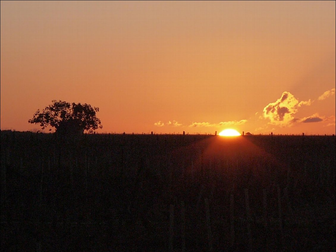 Lever au milieu des vignes