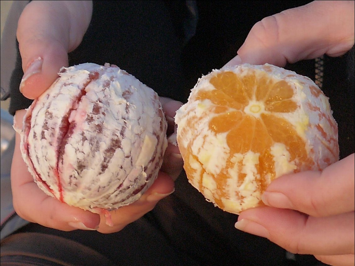 et nous offre des oranges maisons