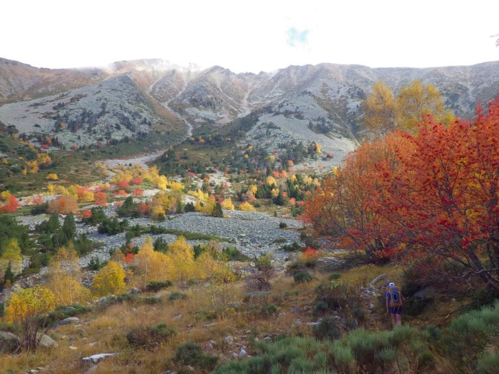 Le Canigou est dans le brouillard