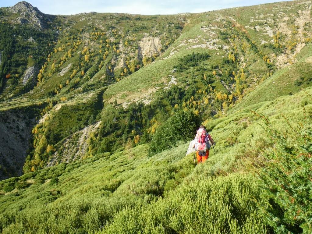 Après la cabane vieille