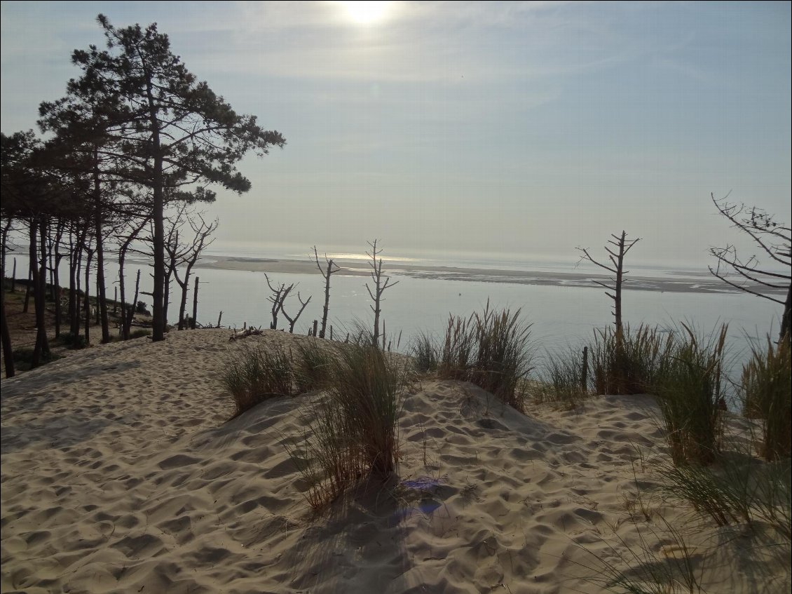 Des Landes à l'Estuaire de la Gironde