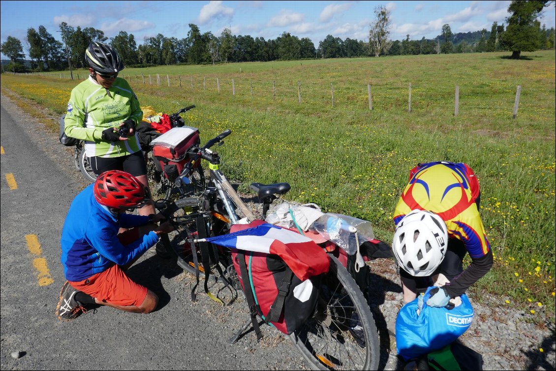 Crevaison roue avant pour Geneviève