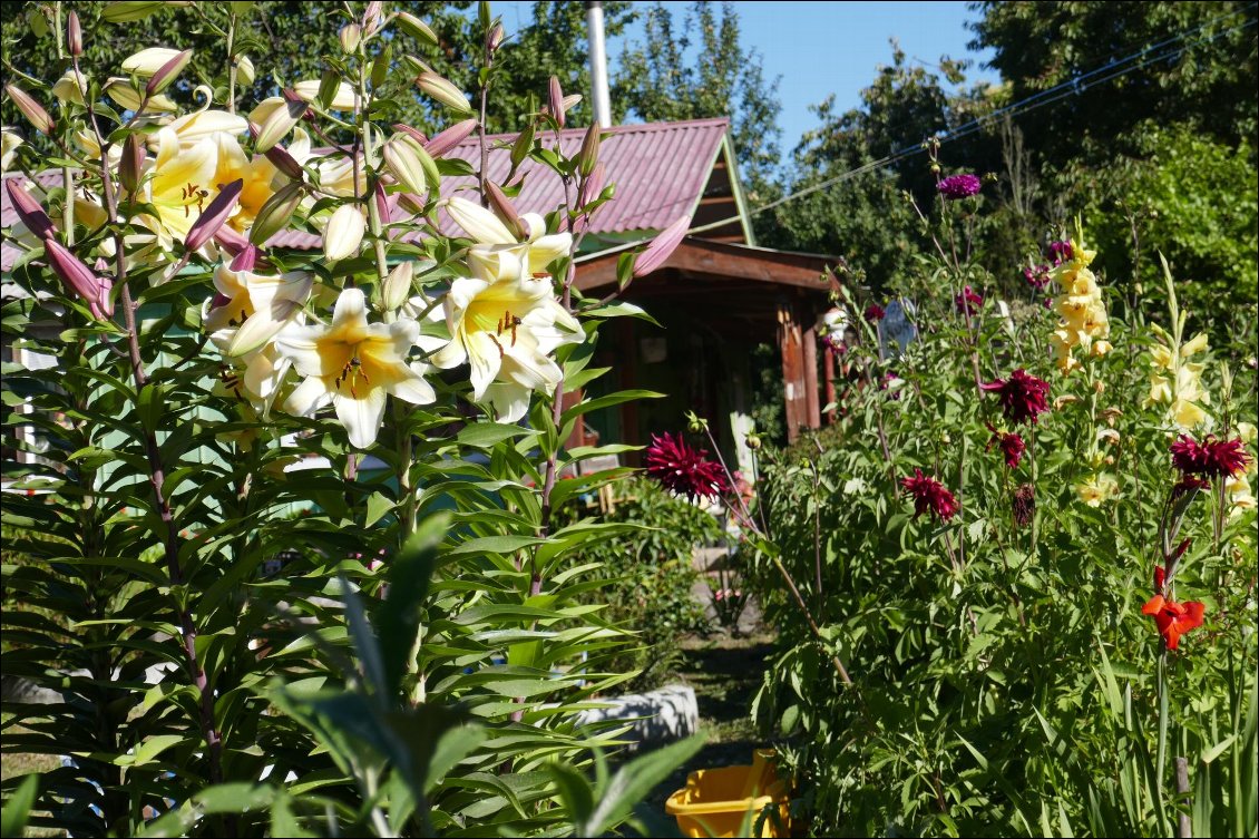 Petite maison bien fleurie;