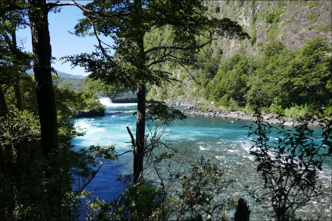 Balade en forêt le long du rio Petrohue (parc naturel Perez Rosales)