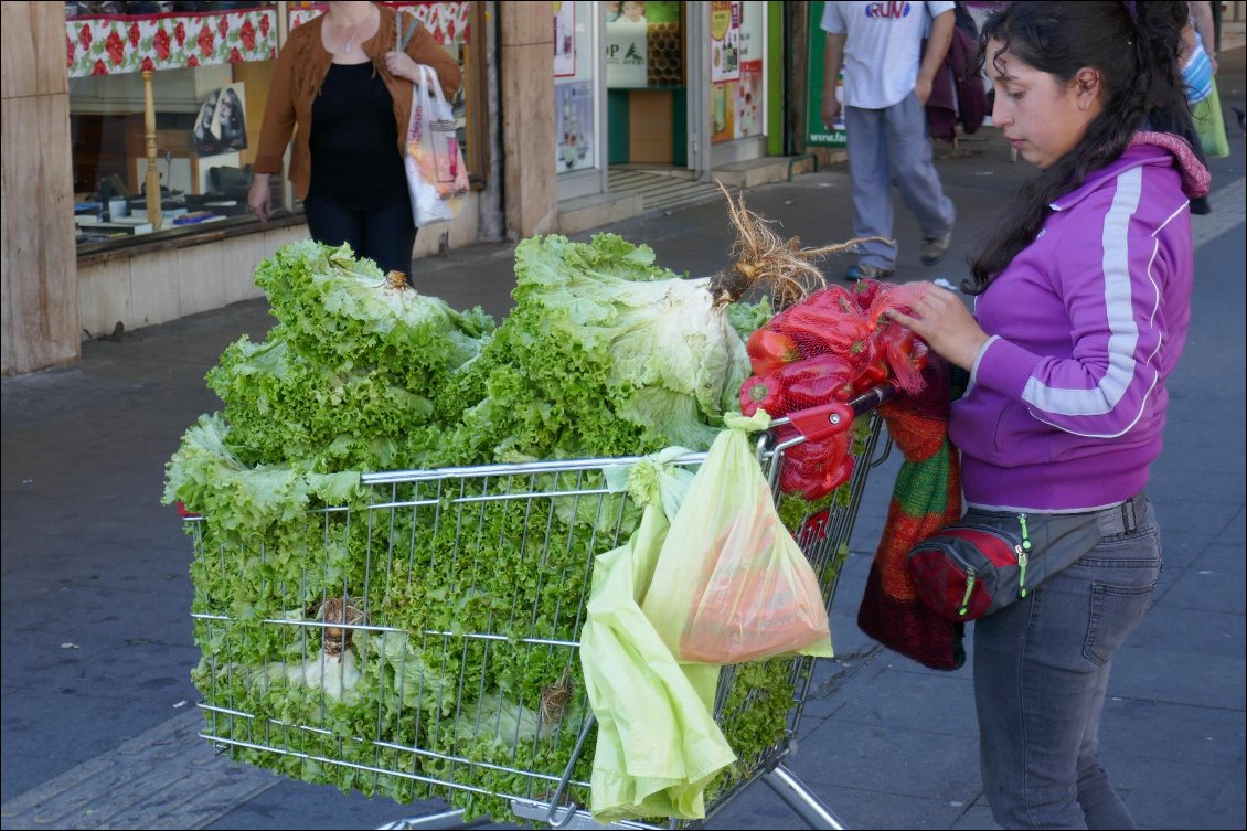 C'est toute la salade de son jardin !