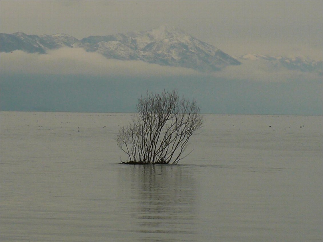 Floodland...