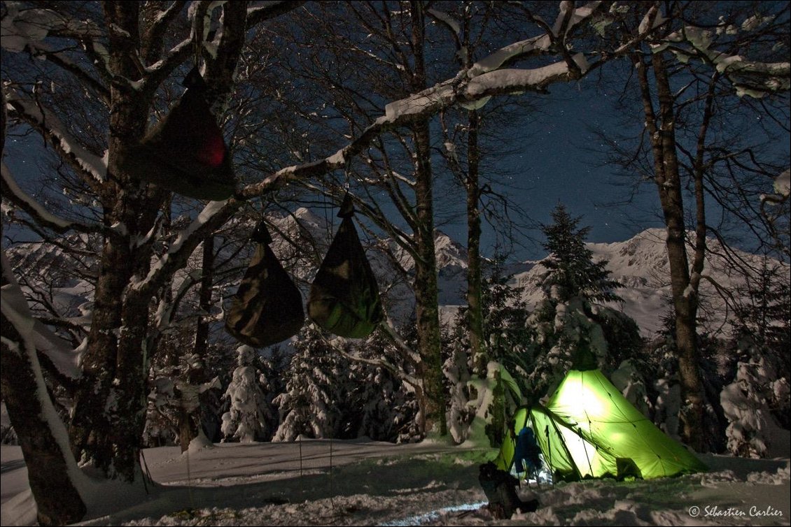 10# SEBASTIEN CARLIER.
"Bivouac givré" dans la vallée de Campan / Hautes Pyrénées avec Itinéraires partagés. Une nuit au plus près de l’arbre, comme temps de repos et aussi comme rencontre magique avec ces hêtres remarquables que l’on apprend à grimper avant, pour cheminer progressivement vers sa « chrysalide » pour y passer une nuit perchée !
Le lendemain, la « métamorphose », une telle nuit nous transforme forcément dans une relation plus propre avec l’environnement et son hôte, l’arbre !