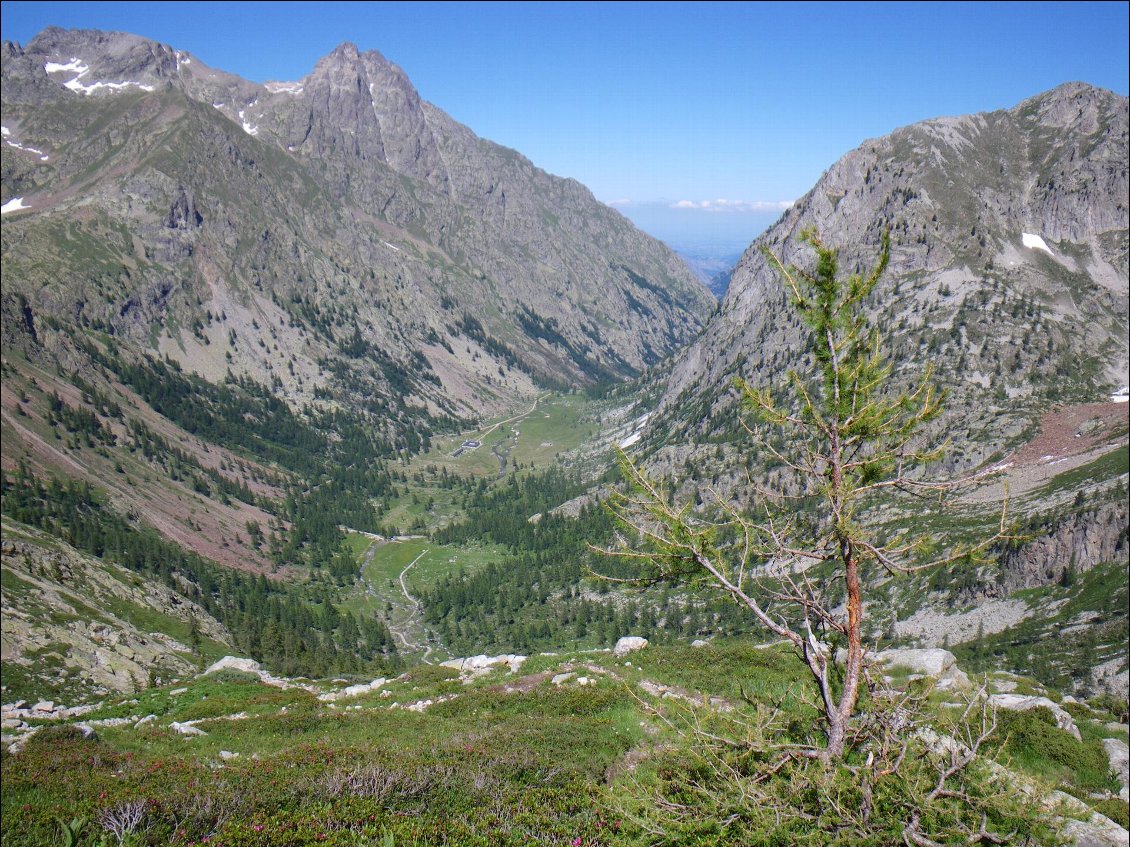 Le vallon de Valdieri