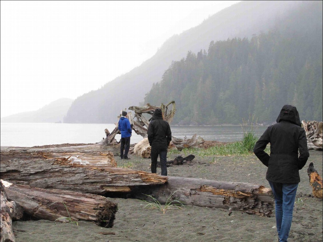 Arrivée vendredi soir à Port Renfrew : le temps n'est plus au beau fixe comme il l'était durant tout le mois de mai !