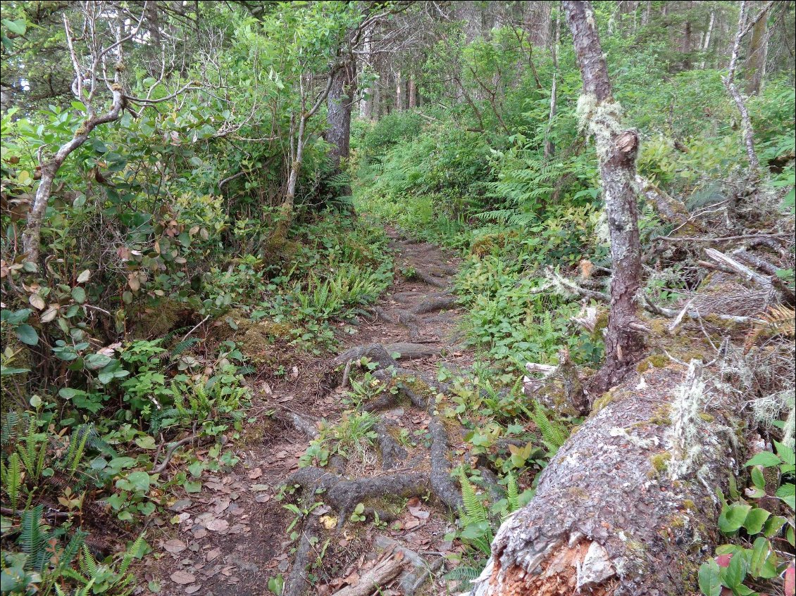 Le sentier est très agréable.