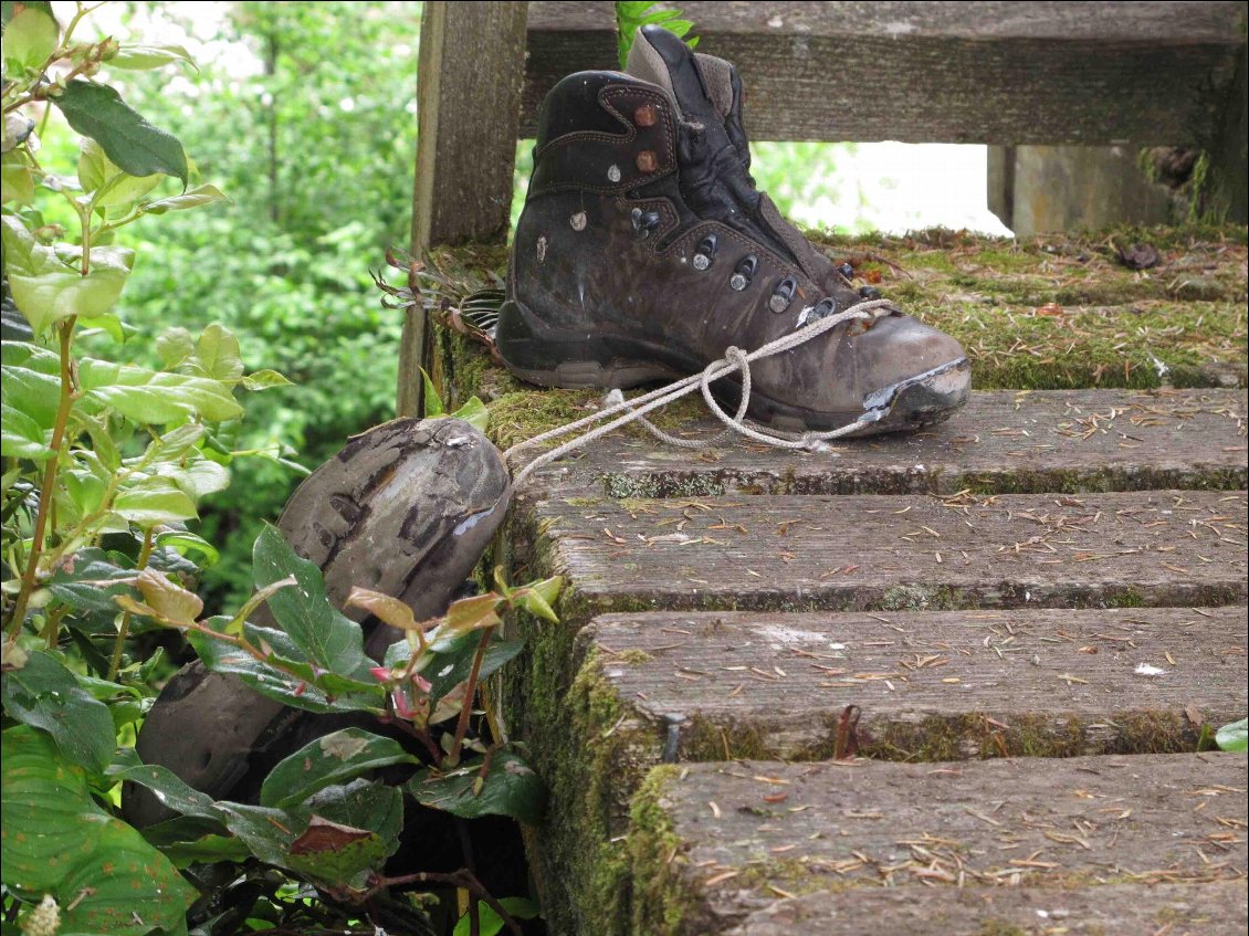 Cette paire de chaussures n'a pas terminé le périple.