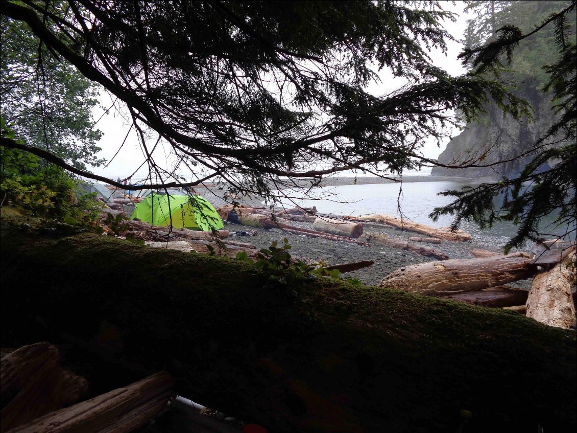 Dîner à l'abri sous les arbres.