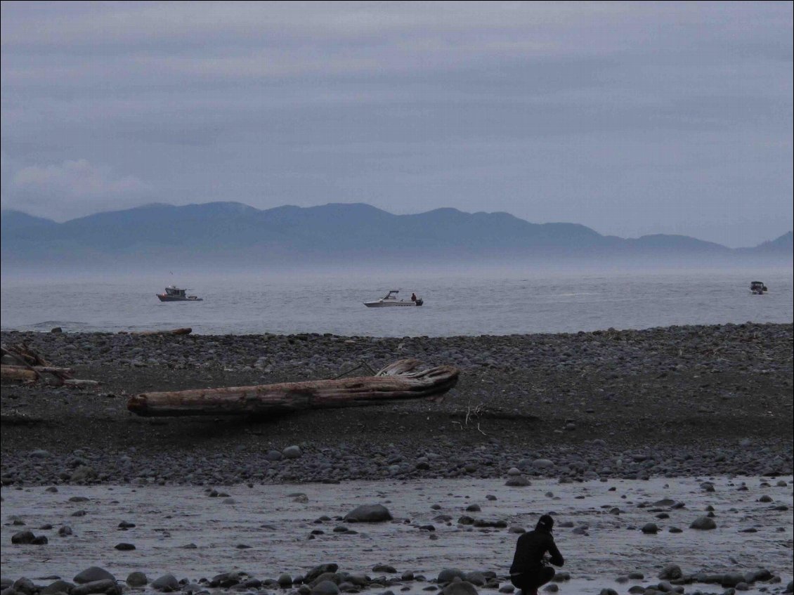 Les pêcheurs viennent chercher le saumon.