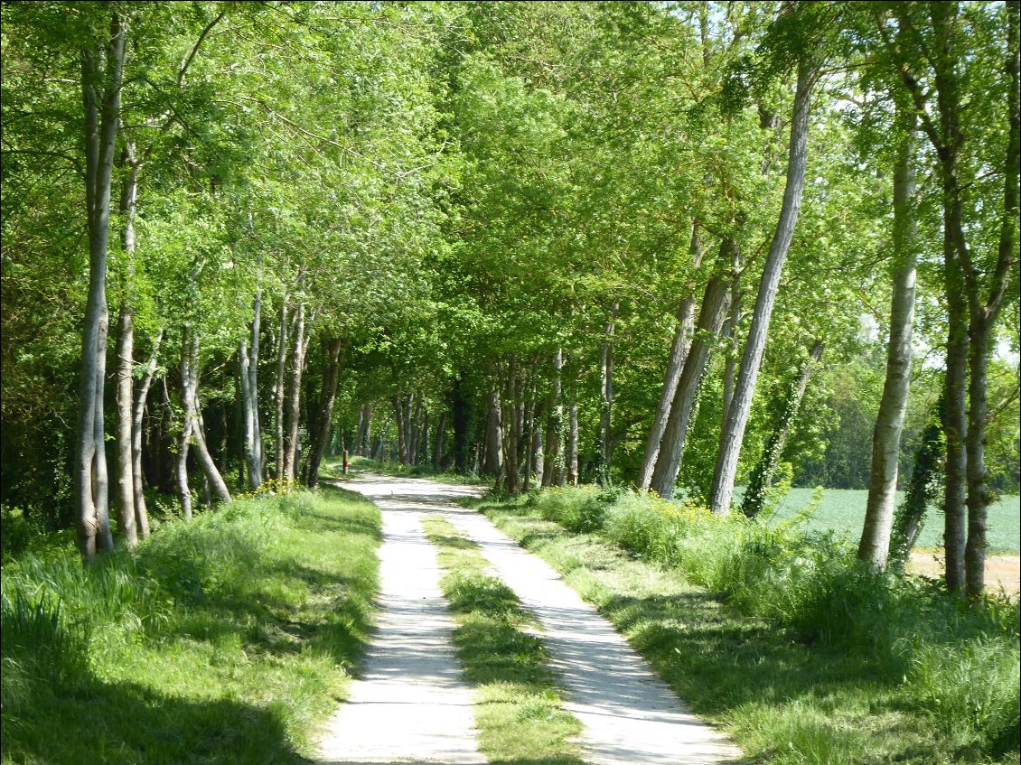 Nous avons cherché à maximiser les sentiers, et avons parfois bifurqué dans des parcs pour être au plus proche de la Loire, quitte à aller moins vite