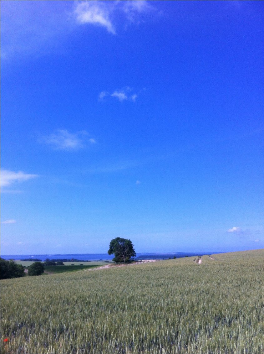 Jasmund avec vue sur le Cap Arkona