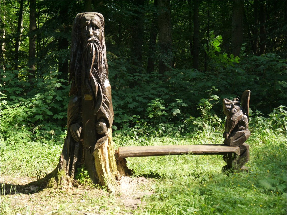 On se sent jamais seuls dans la forêt