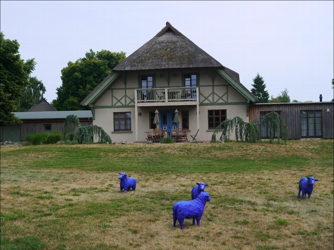 C'est une maison bleue...euh pardon