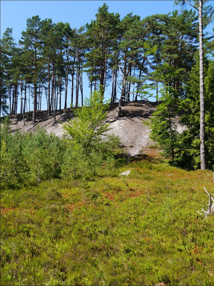 La dune gagne