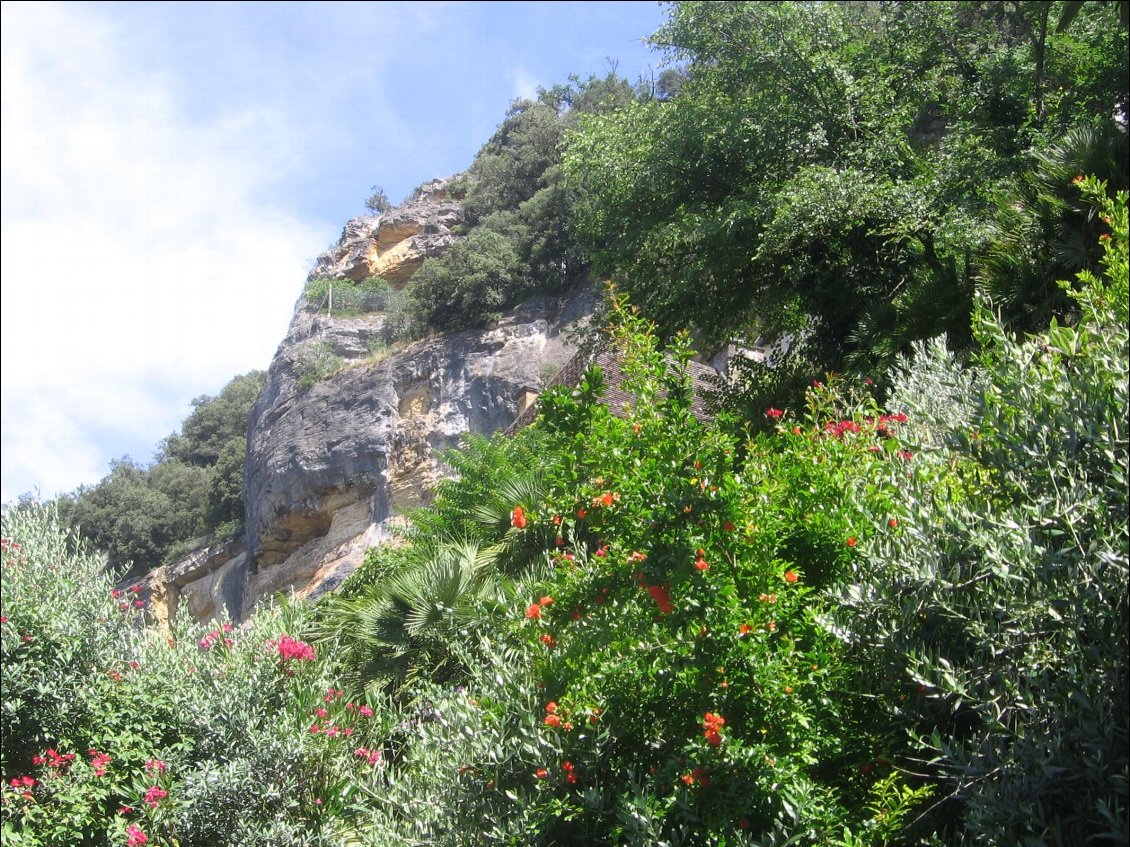 Un jardin exotique au coeur du village