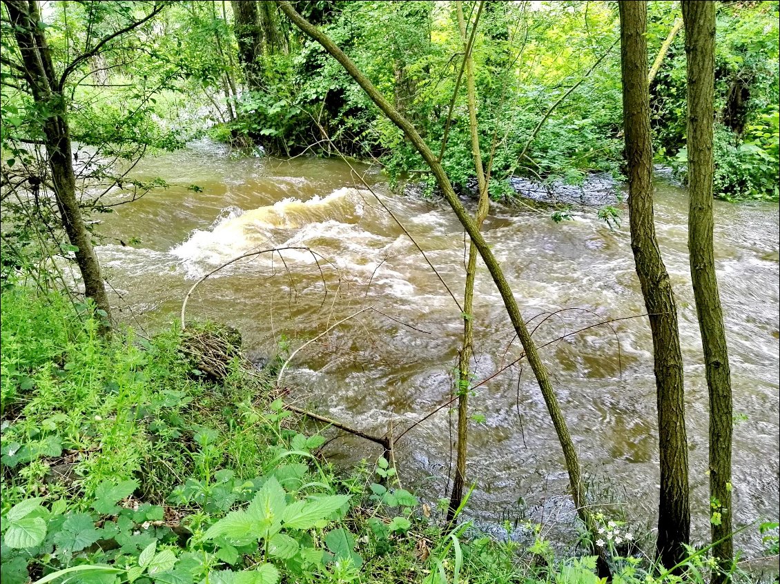 La Loire déborde sur la rive droite !