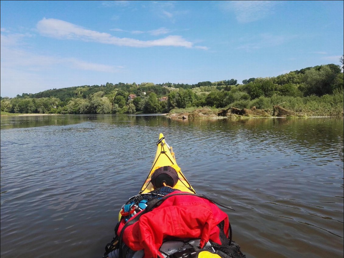 Confluence avec l'Arroux.