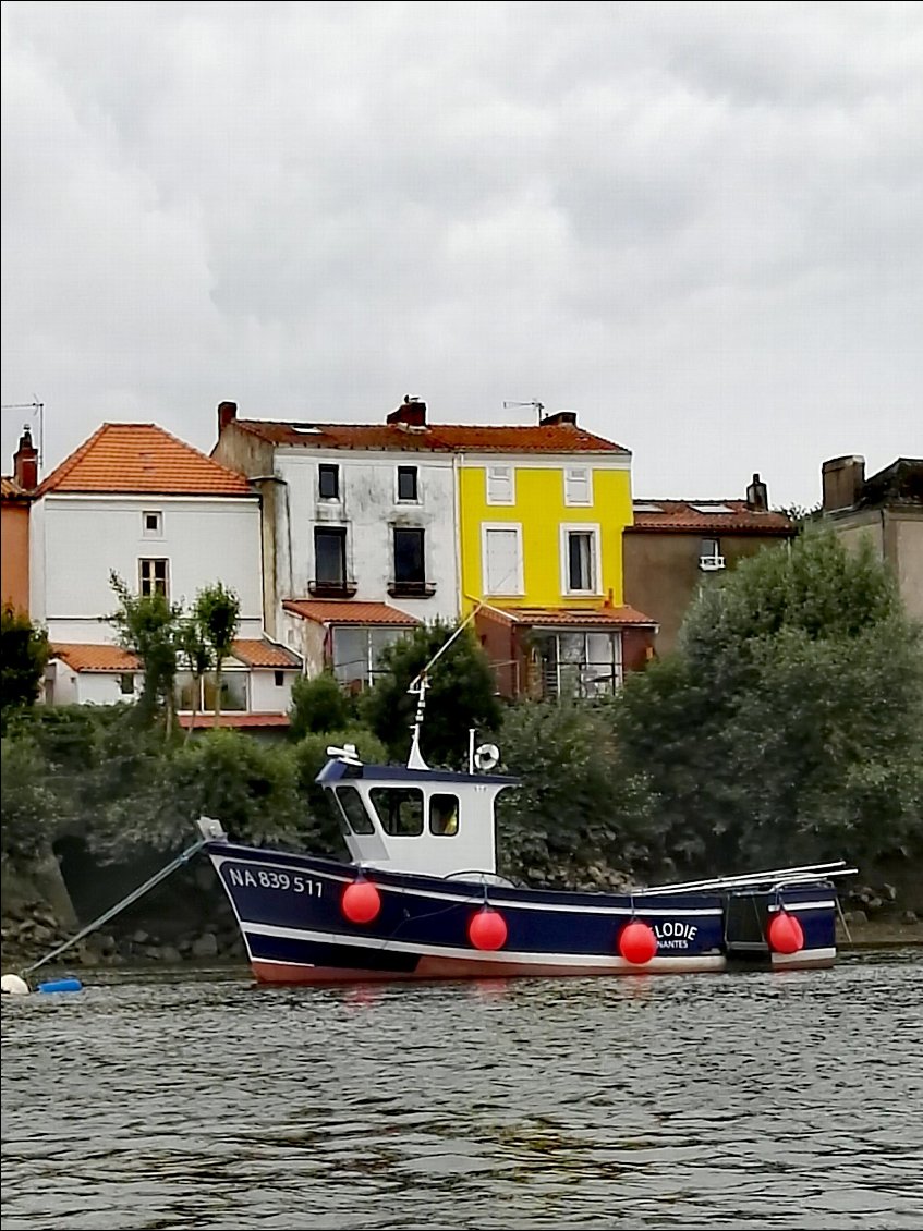 La Haute-Île, bras de Pirmil, aval confluence avec la Sèvre Nantaise