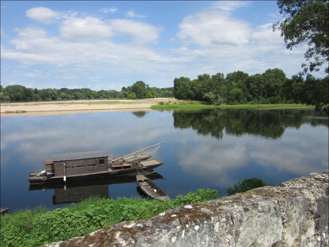 La Loire à la confluence avec la Vienne