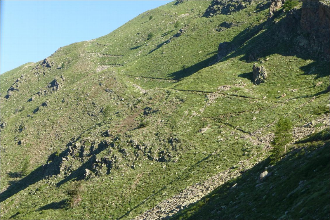 Le sentier bien tracé