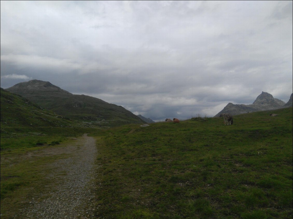 Montée dans les alpages...sous le ciel un peu gris