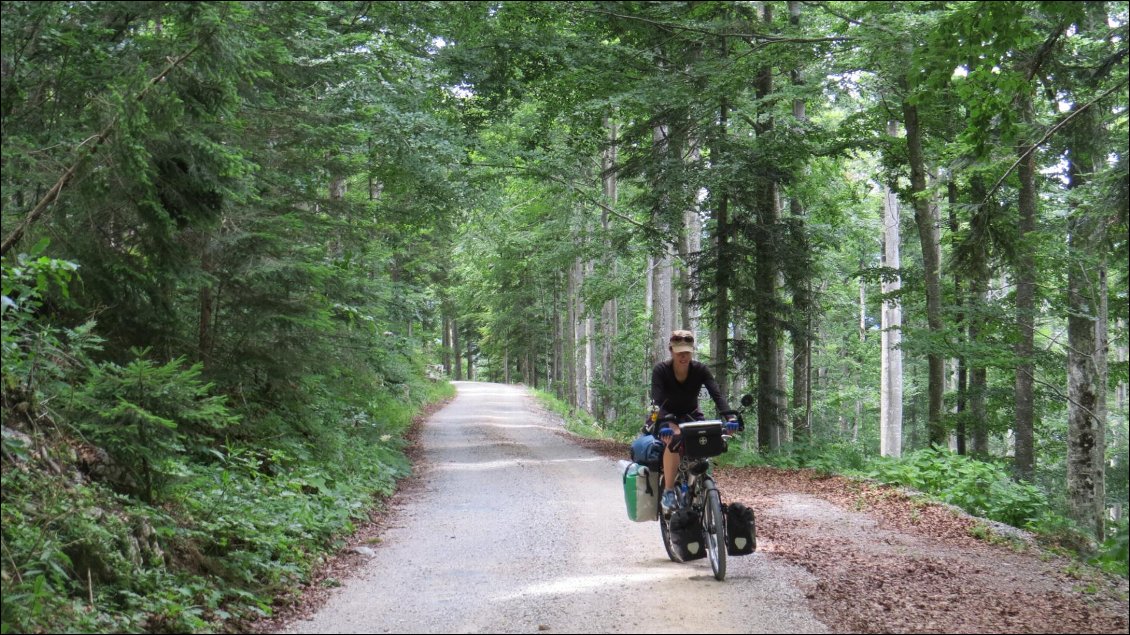 Dans les bois de Slovénie (montée au Szeznic)