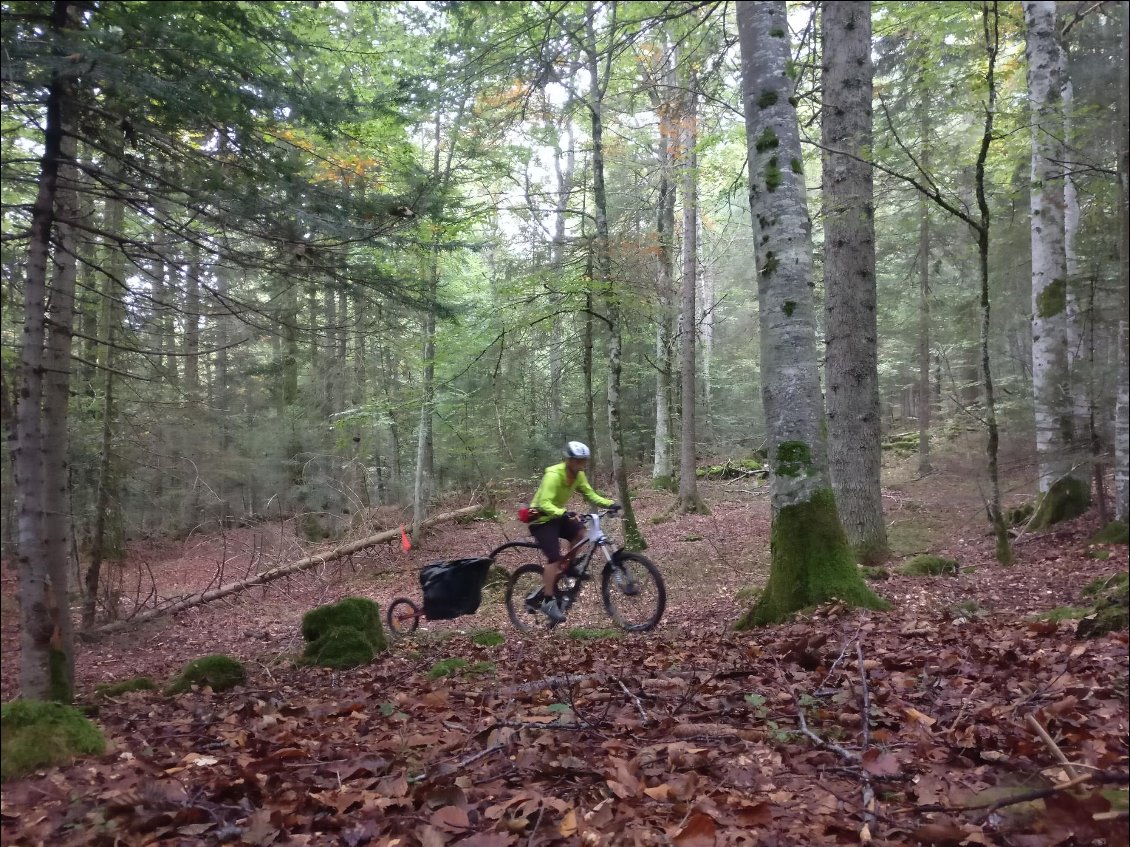 Sur un single en montée