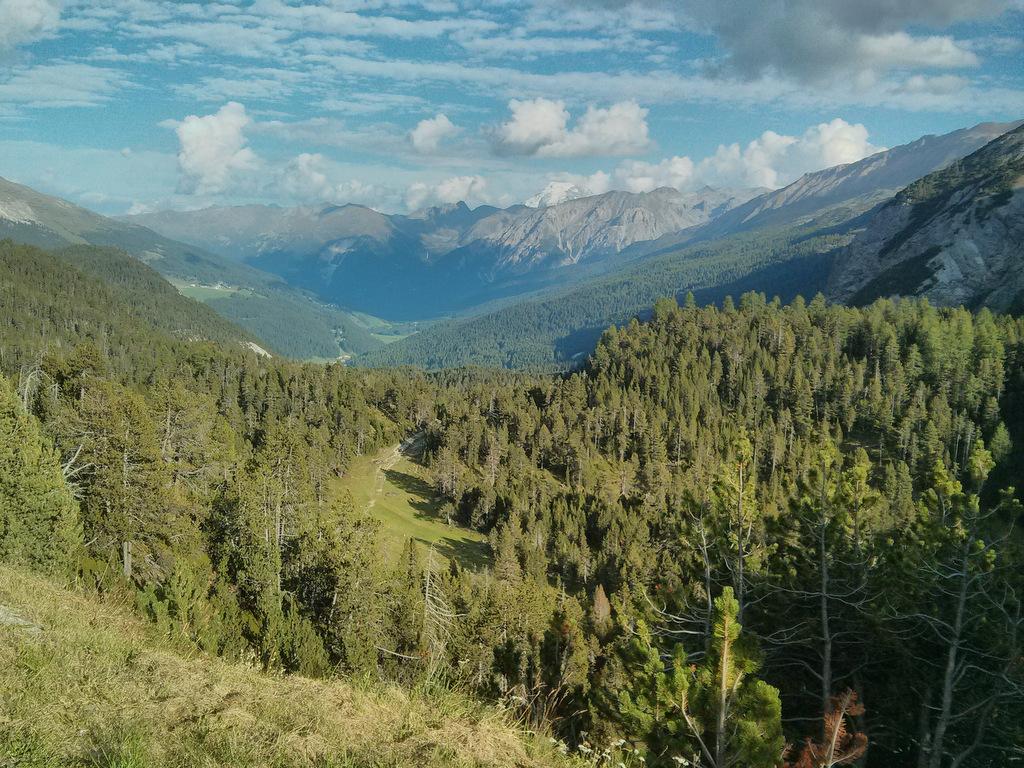 Sur la descente du col