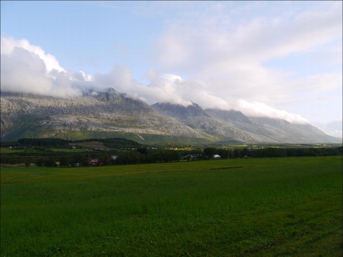 Les seven sisters dans le coton