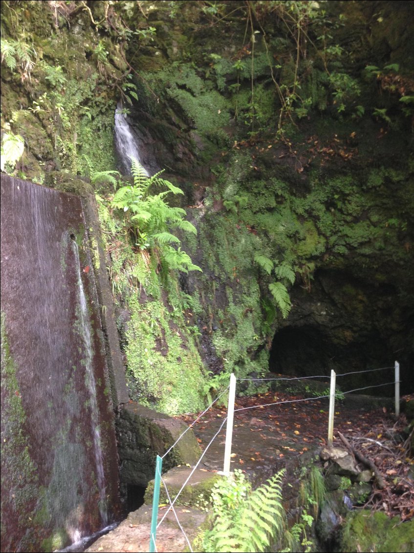 Randonnée le long de levada en passant par des tunnels parfois longs de plusieurs centaines de mètres ! A vos lampes torches !