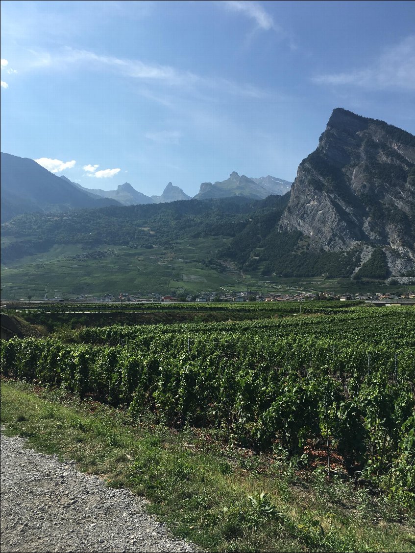 Traversée des vignobles et vergers valaisans