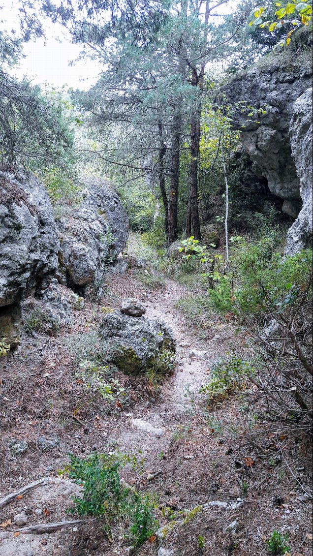 Sur cette partie, les chemins alternent entre passage forestiers et traversée de chaos rocheux