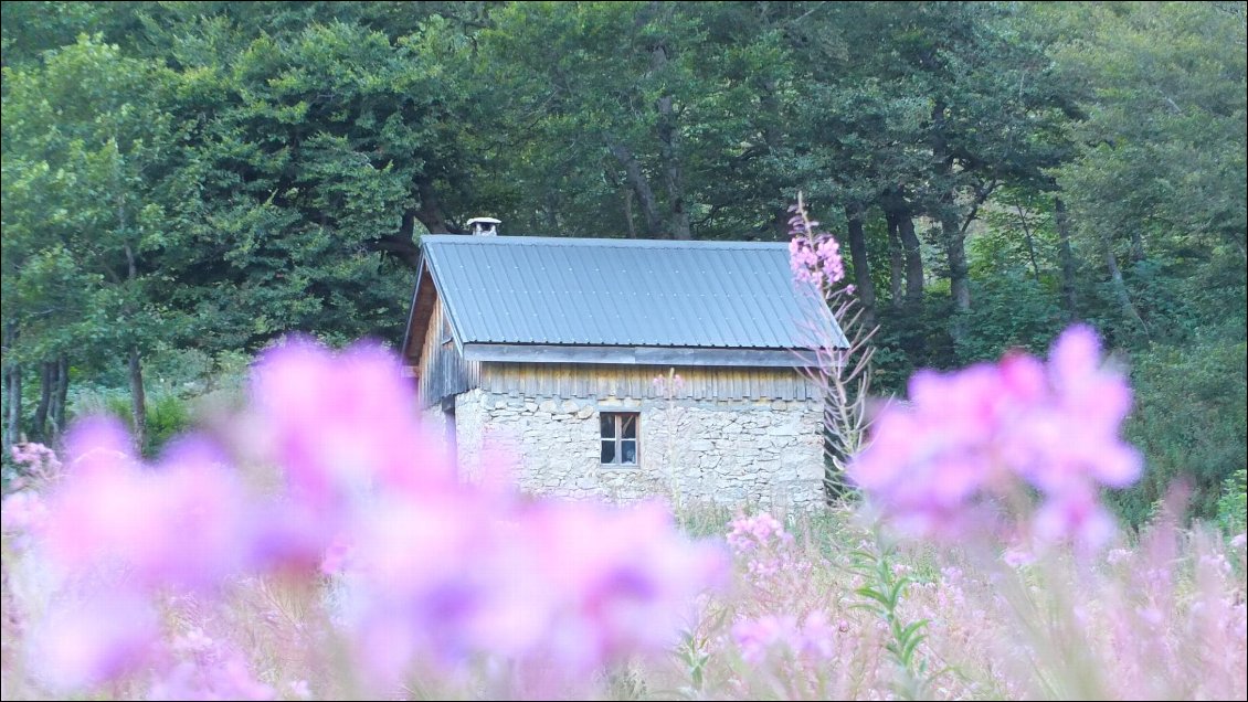 Cabane de Nave, située dans une vallée à 1480m d'altitude, au  milieu d'une belle clairière toute fleurie. 